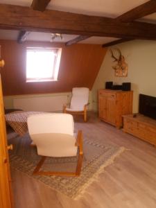 DittmannsdorfWindmühlenhof的客厅配有两把白色椅子和电视
