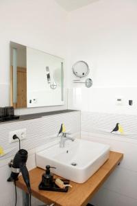 弗赖塔尔Pension Biohof Klügel的浴室设有白色水槽和镜子