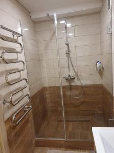 帕内韦日斯Nemuno apartamentai的浴室里设有玻璃门淋浴
