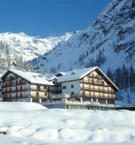 格雷索拉特里尼泰La Trinitè Monboso Hotel的雪中与山间酒店