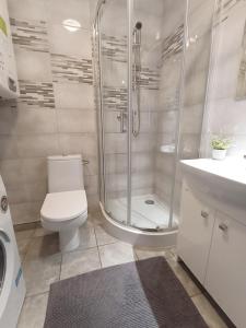卢宾Apartament Leśny的带淋浴、卫生间和盥洗盆的浴室