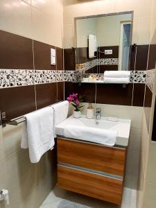 Nagyerdei Rózsahegy 1 Apartman Greatforest Rosehill 1 Apartment的一间浴室