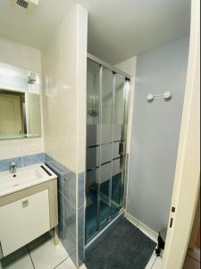 索恩河畔沙隆Bel appartement cœur de ville的带淋浴和盥洗盆的浴室