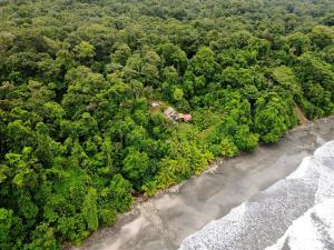 努基Lodge El Amargal - Reserva Natural, Ecoturismo & Surf的海洋旁森林中房屋的空中景观