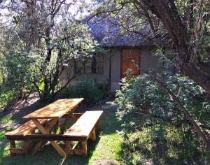萨尼山口Sani Lodge and Backpackers Sani Pass South Africa的大楼前草上的野餐桌