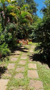 WandaWanda Apart Hotel Las Palmas的花园中种有植物和树木的石头小径