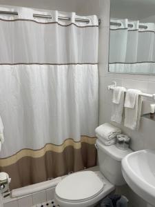 迈阿密海滩海滩广场酒店的浴室设有白色卫生间和淋浴帘。