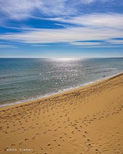 诺托玛丽娜Casa vacanze Almàsalo的沙滩和海洋中的一个足迹