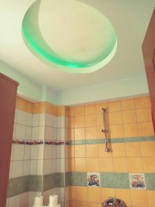 锡季罗卡斯特龙oniron的带淋浴的浴室和绿色天花板