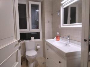 科孚镇''Dei Vecchi'' apartment in Kerkyra的一间带卫生间、水槽和镜子的浴室