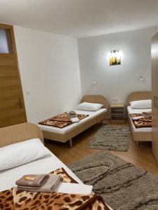 默主歌耶Pansion Lazine的一间设有两张床和两张地毯的房间