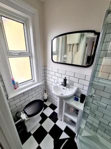 朴次茅斯Southsea Royale Studio, James Bond, Parking, Seafront的一间带卫生间、水槽和镜子的浴室