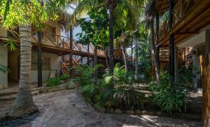 曼克拉Las Olas的棕榈树房屋的庭院