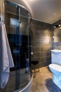 别尔斯克-比亚拉Hello Hostel & Apartments的带淋浴、卫生间和盥洗盆的浴室