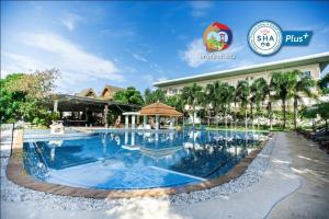 拉威海滩Blue Beach Grand Resort And Spa SHA Plus的菲律宾火烈鸟度假村的游泳池