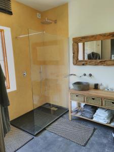 Chambres d'hôtes Les 3 Salamandres的一间浴室