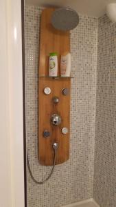 马恩河畔布里阿维斯花园皮埃尔·居里住宿加早餐旅馆的带淋浴的浴室(带木架)