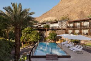埃拉特Herbert Samuel Royal Shangri-La Eilat的一座拥有游泳池和棕榈树的酒店