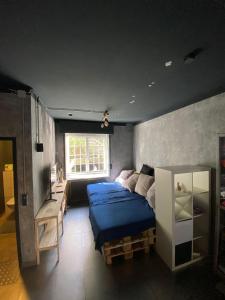 奥斯纳布吕克Jonnys Loft的一间卧室设有蓝色的床和窗户。