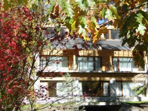 拉安戈斯图拉镇卢卡酷仁高尔夫度假宾馆的一间木制房子,窗户和一棵树