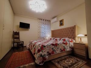 维罗纳Verona City San Zeno Apartment的卧室配有一张床,墙上配有电视。