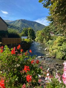 Saint-AventinStudio au coeur de la Station de Ski的前沿和山底的河流,鲜花盛开