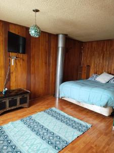 蒙特港lotus shared-house的一间卧室配有一张床、一台电视和两张地毯。