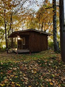 科克尼斯Rijnieki upes namiņš的森林中间的小小屋