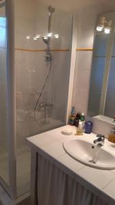 马赛Chambre privée avec Piscine的带淋浴、盥洗盆和盥洗盆的浴室