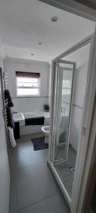开普敦CherryPlum self-catering的一间带卫生间、水槽和镜子的浴室