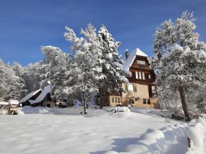 博伊龙FeWo Forstvilla Beuron的树前的雪覆盖的房子