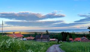 FryksåsFryksas Chalet的村前有房子的土路