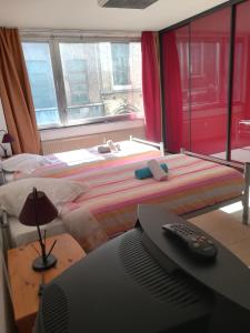沙勒罗瓦沙勒罗瓦德拉封丹那场大酒店的一间卧室配有一张床和一张书桌及电视