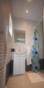皮耶什佳尼Apartmány Amália的一间带水槽和淋浴帘的浴室