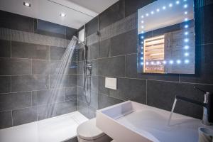 尚佩里Le Chalet de l'Atelier - Le Nord的带淋浴、卫生间和盥洗盆的浴室