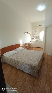 卡塔尼亚Fontanarossa Airport Apartment的一间带大床的卧室和一间厨房