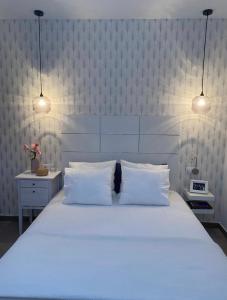 罗萨里奥港Casa el Majorero的卧室配有一张带两个枕头的大白色床