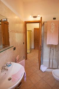 因佩里亚Agriturismo Benza的带淋浴、盥洗盆和卫生间的浴室