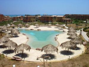 艾因苏赫纳Marina Wadi Degla A Ground Chalet Near to the Beach in Ain Sokhna的度假村内带稻草遮阳伞的大型游泳池