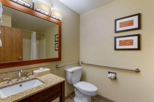 休伦湖河滨康福特茵酒店的一间带卫生间、水槽和镜子的浴室