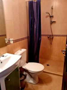 特里亚夫纳贝拉家庭酒店的浴室配有卫生间、盥洗盆和淋浴。