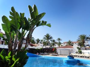 美洲海滩Las Americas Luxury Low-Cost Apartment with Terrace & Views的相册照片