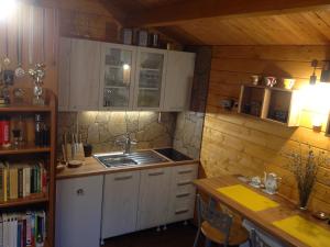 RovteLookout Resort tiny houses的小厨房配有白色橱柜和水槽