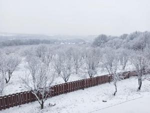 雅西Pensiunea Emelys的雪覆盖的田野上树木的围栏
