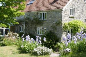 ShapwickThe Potting Shed, self contained, detached retreat in Shapwick village的相册照片