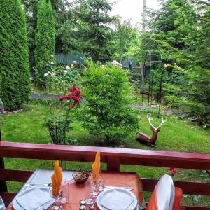 肯普隆格Pensiunea Agroturistică Piscul Soarelui的桌椅,享有花园的景色