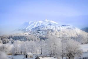 NébouzatT2 CHEZ LE MARECHAL à NEBOUZAT的山地,有房子和树木,被雪覆盖