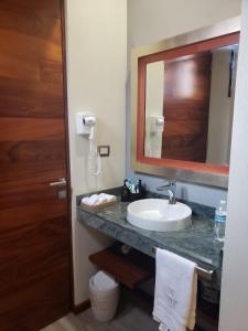 圣路易斯波托西Hotel Arista 1026的一间带水槽和镜子的浴室