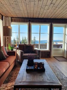 伯New cabin at Lifjell perfectly located for hiking with sauna and ski-in/ski-out的带沙发和咖啡桌的客厅