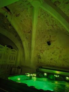 奥尔冈L'envoûtement Provençal, jacuzzi privatif et SPA的天花板客房内的绿色浴缸